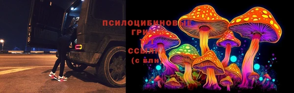 дмт Алексеевка