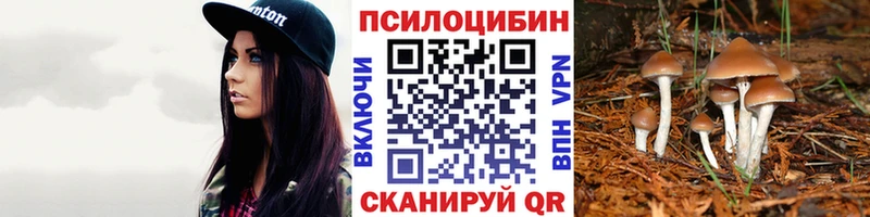 Псилоцибиновые грибы Magic Shrooms  где продают   Подольск 